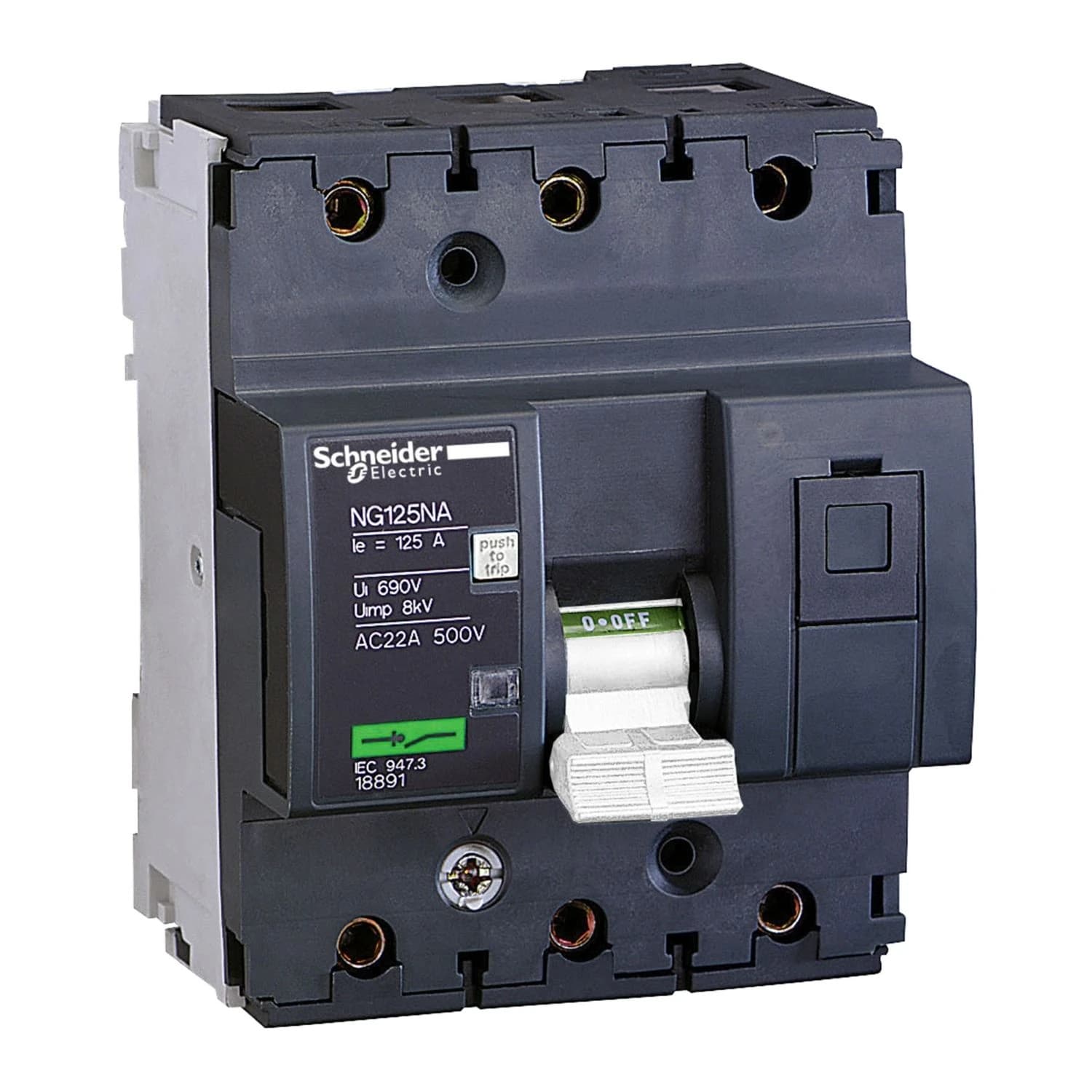 18891 Schneider Electric switch-disconnector NG125NA - 3 poles - 100 A